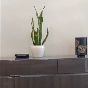 Meet your Posher, Rob